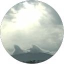 Ferny Ferny profile picture